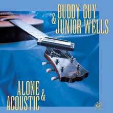 Vinyl ALONE AND ACOUSTIC