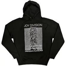 Unknown Pleasures FP