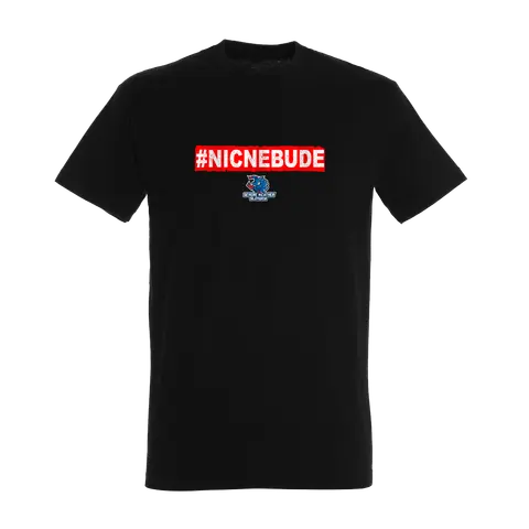 #NICNEBUDE