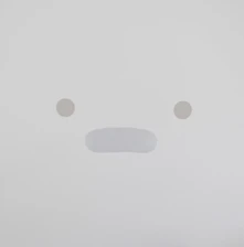 Silicon, Vinyl PERSONAL COMPUTER