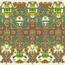 CD BUTTERFLY 3000