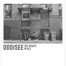 Oddisee, Vinyl BEAUTY IN ALL