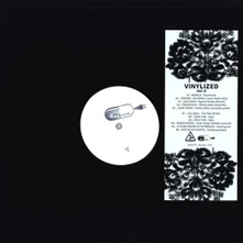 Vinyl Vinylized Vol.8