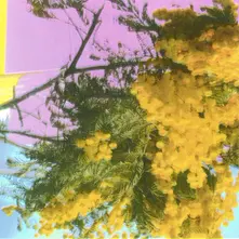 Four Tet, Vinyl INTO DUST