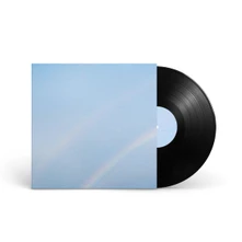 Vinyl NEVER ENOUGH