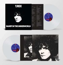 Vinyl DANDY IN THE UNDERWORLD