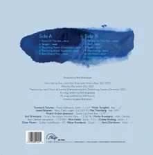 Emil Brandqvist Trio – INTERLUDES (Vinyl)