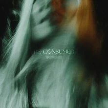 Vagrants, CD BE CONSUMED