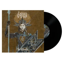 Vinyl FORTITUDE