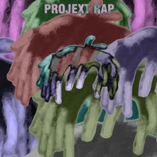 CD Projext Rap