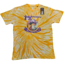 Are You Experienced thumbnail