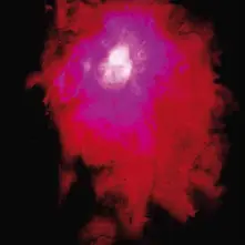Porcupine Tree – UP THE DOWNSTAIR (CD)