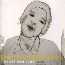 Everything but the Girl, Vinyl TEMPERAMENTAL