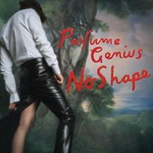 Perfume Genius, Vinyl NO SHAPE