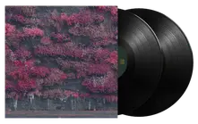 Sleep Token, Vinyl Even In Arcadia