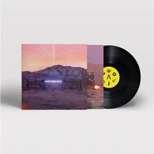 Vinyl Everything Now (Day Version)