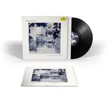 Vinyl THE SKIES,THEY SHIFT LIKE