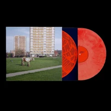 Vinyl IT GOES ON