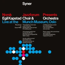 Vinyl SYNER
