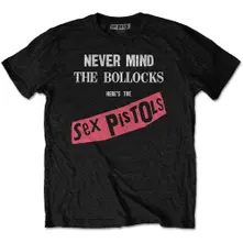 Never Mind The Bollocks thumbnail