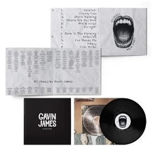 Gavin James, Vinyl Goldrush
