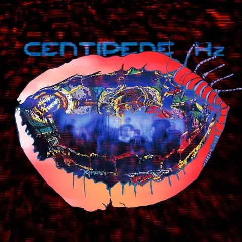 Animal Collective – CD CENTIPEDE HZ (Limited)