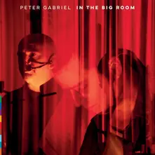 Peter Gabriel, Vinyl IN THE BIG ROOM