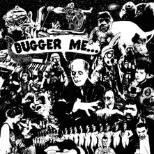 Vinyl BUGGER ME