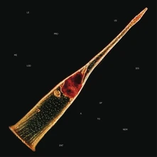 Leprous, CD Melodies of Atonement