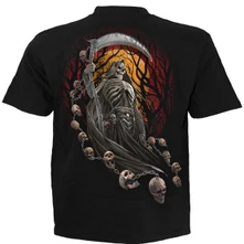 Harbingers thumbnail