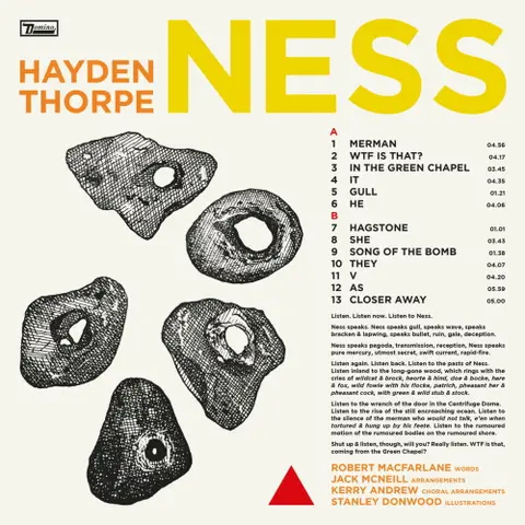 Hayden Thorpe – Vinyl NESS