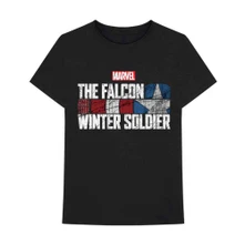 Falcon & Winter Soldier Text Logo thumbnail