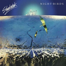 Vinyl NIGHT BIRDS