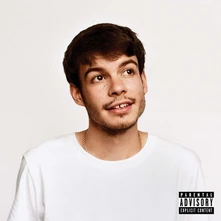 Rex Orange County, Vinyl Pony