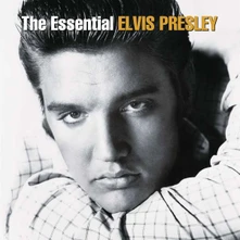 Vinyl The Essential