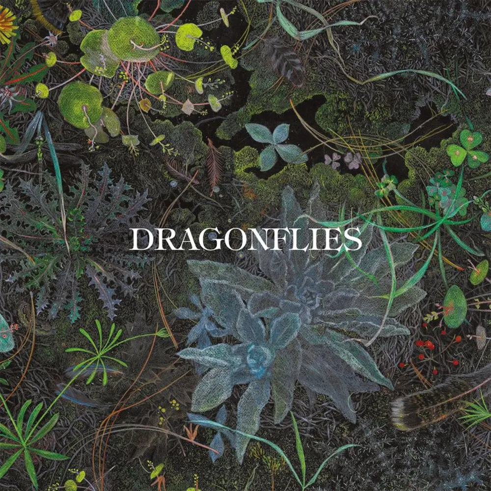 DRAGONFLIES