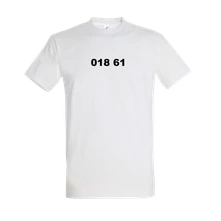 018 61 thumbnail