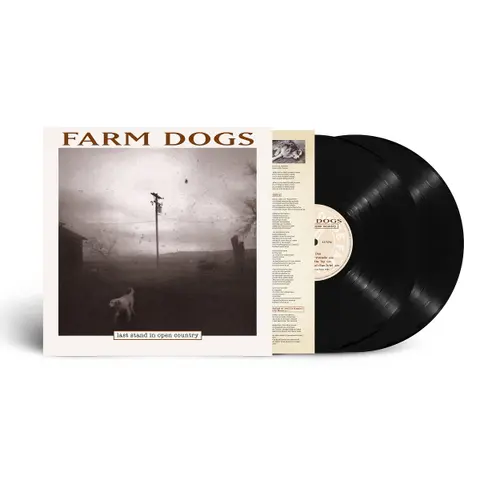 LAST STAND IN OPEN COUNTRY (RSD 2024)