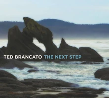 CD NEXT STEP