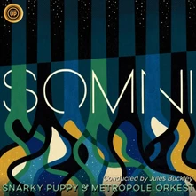 Snarky Puppy, Vinyl SOMNI