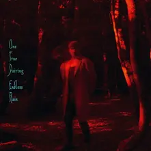 One True Pairing, CD ENDLESS RAIN