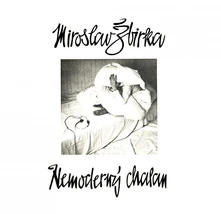 Miro Žbirka, Vinyl Nemoderný chalan