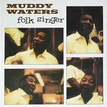 FOLK SINGER thumbnail