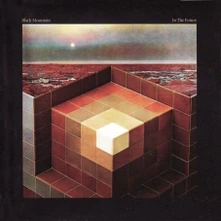Black Mountain, Vinyl BLACK MOUNTAIN - IN THE FUTURE