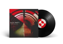 Vinyl ANATOMY OF A BRIEF ROM...