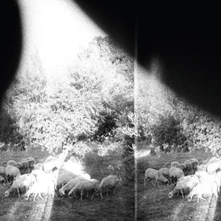 Godspeed You! Black Emperor, Vinyl ASUNDER, SWEET & OTHER DISTRESS