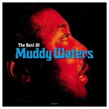 Vinyl BEST OF MUDDY WATERS