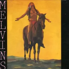 MELVINS thumbnail