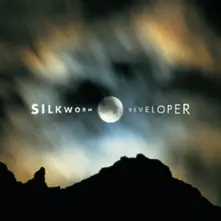Silkworm, Vinyl DEVELOPER