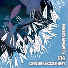CD ACCIDENT - FRINGEMENTS TWO